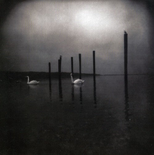 Om - Conference of the Birds