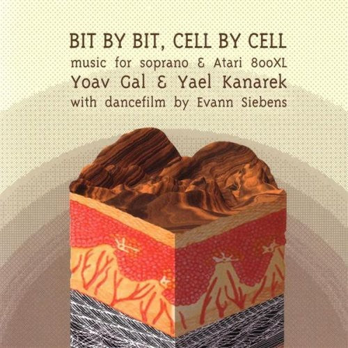 Yoav Gal - Bit By Bit Cell By Cell