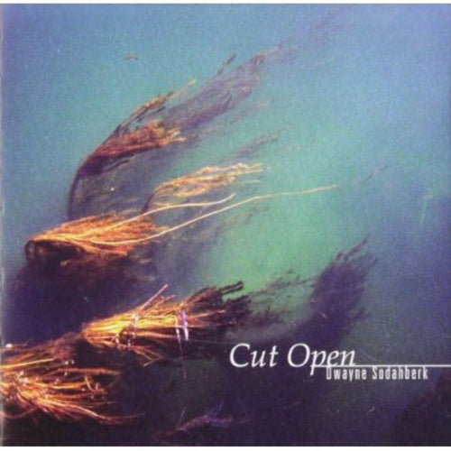 Dwayne Sodahberk - Cut Open