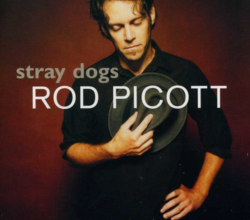 Rod Picott - Stray Dogs