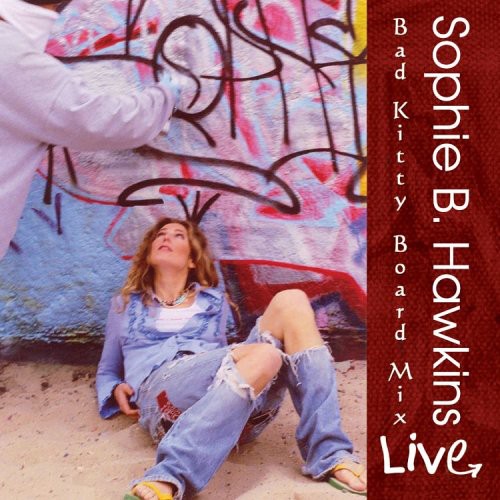 Sophie B. Hawkins - Live: Bad Kitty Board Mix