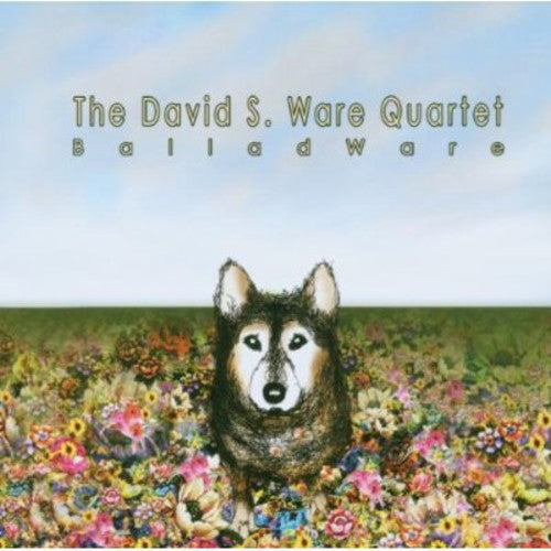 David Ware - Balladware