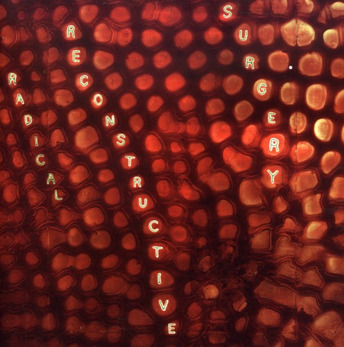 Scotty Hard - Scotty Hard's Radical Reconstructive Surgery - John Medeski and Matthew Shipp