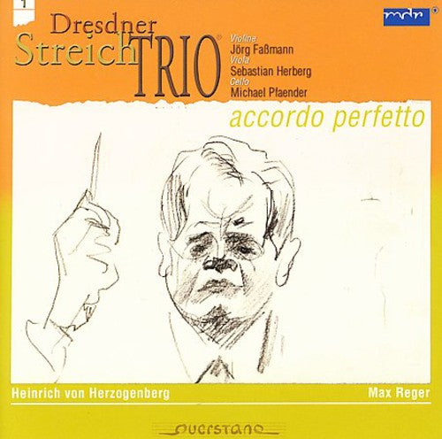 Herzogenberg/ Reger/ Dresden String Trio - Accordo Perfetto 1: Trio/String Trio Op.77B