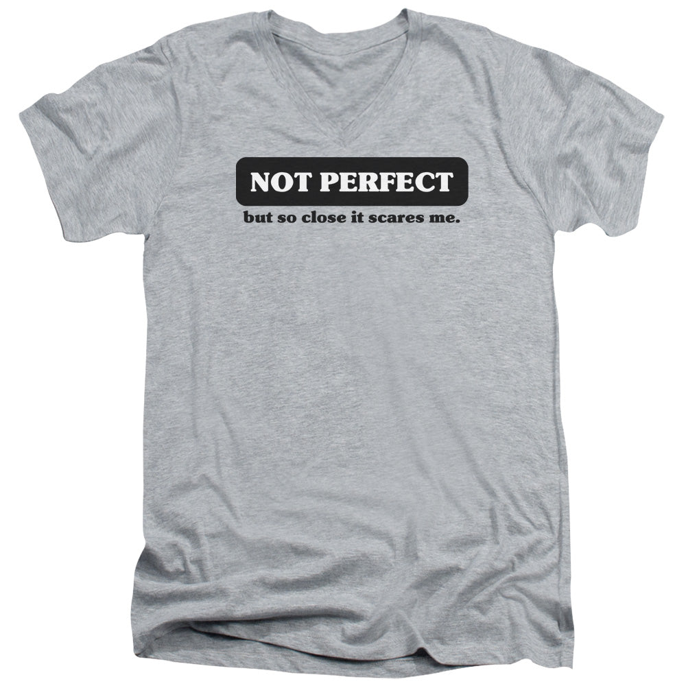Not Perfect - Short Sleeve Adult V-neck 30 - 1 - Athletic Heather T-shirt