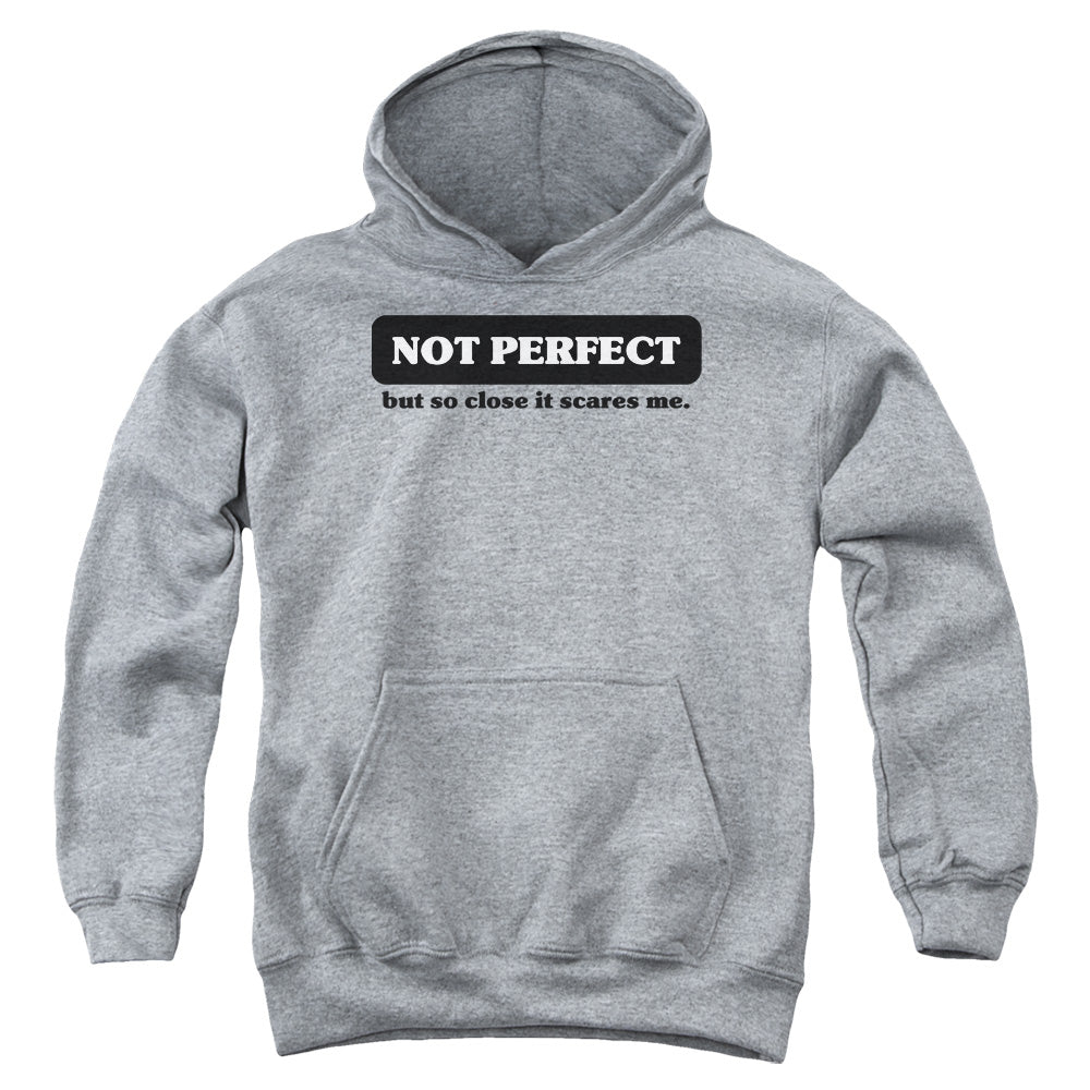 Not Perfect - Youth Pull-over Hoodie - Heather