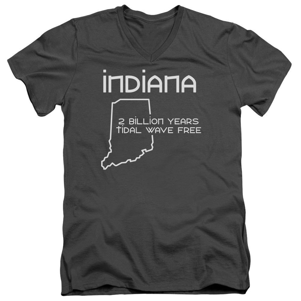 Indiana - Short Sleeve Adult V-neck - Charcoal T-shirt
