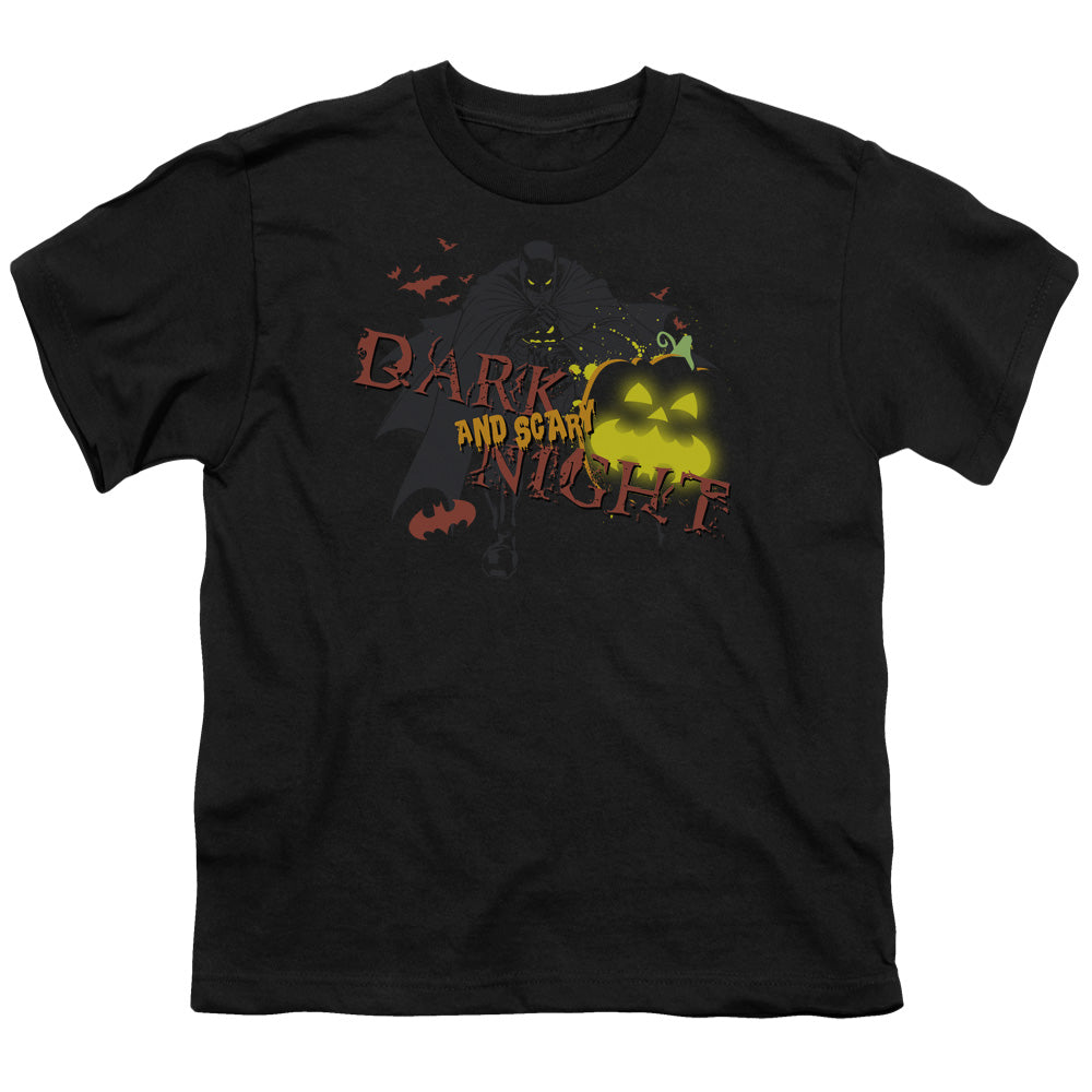 Batman - Dark And Scary Night - Short Sleeve Youth 18/1 - Black T-shirt