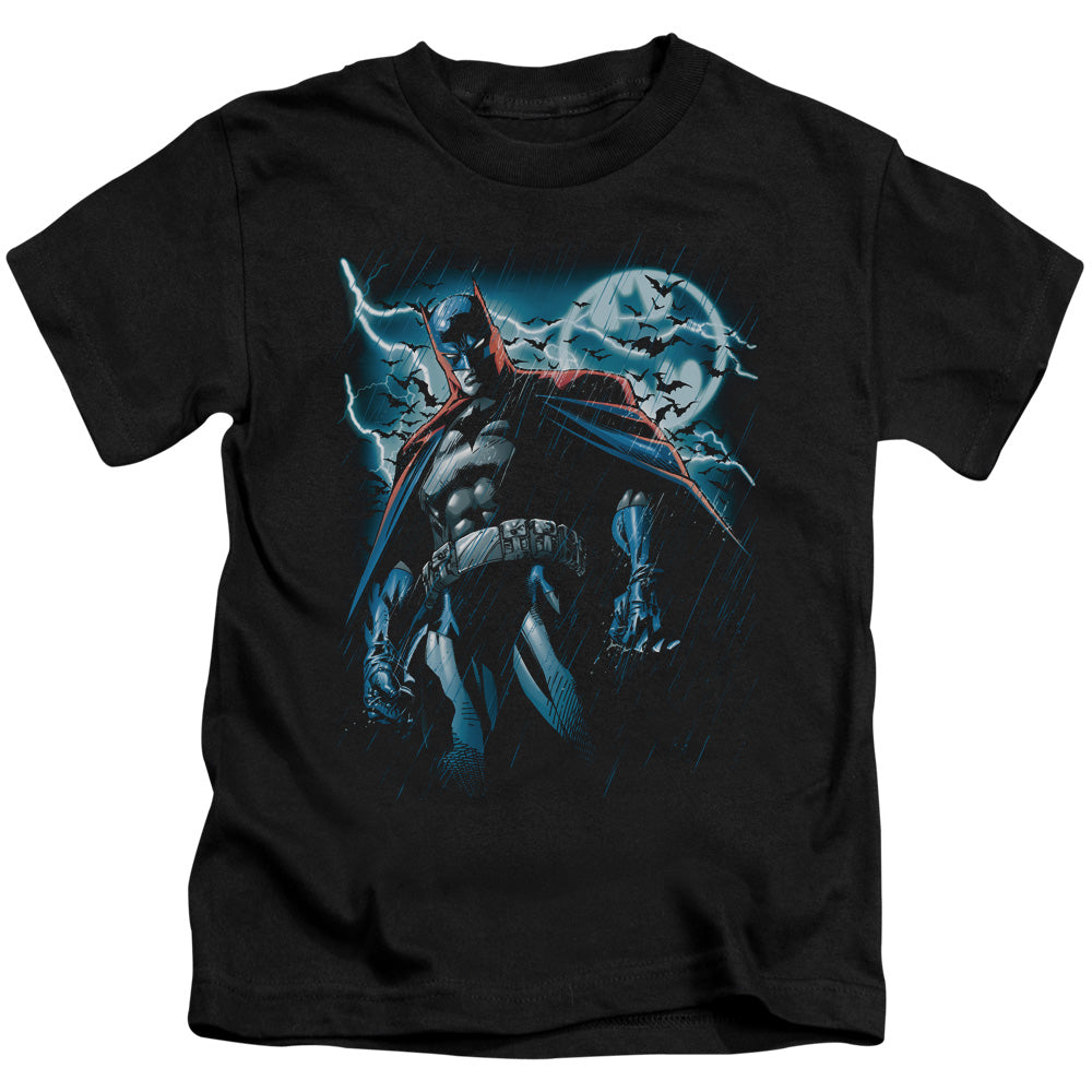 BATMAN STORMY KNIGHT - S/S JUVENILE 18/1 - BLACK - T-Shirt