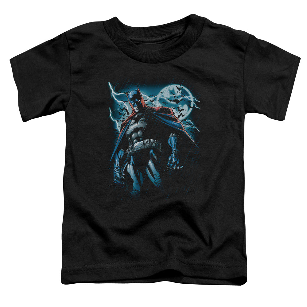 Batman - Stormy Knight - Short Sleeve Toddler Tee - Black T-shirt