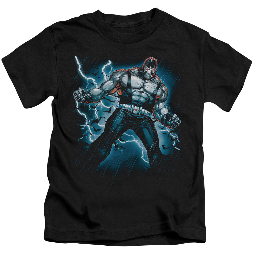 BATMAN STORMY BANE - S/S JUVENILE 18/1 - BLACK - T-Shirt