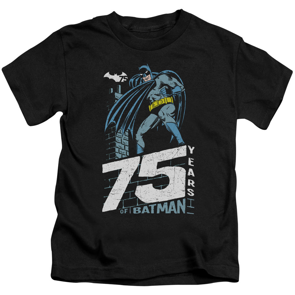 BATMAN ROOFTOP-S/S T-Shirt