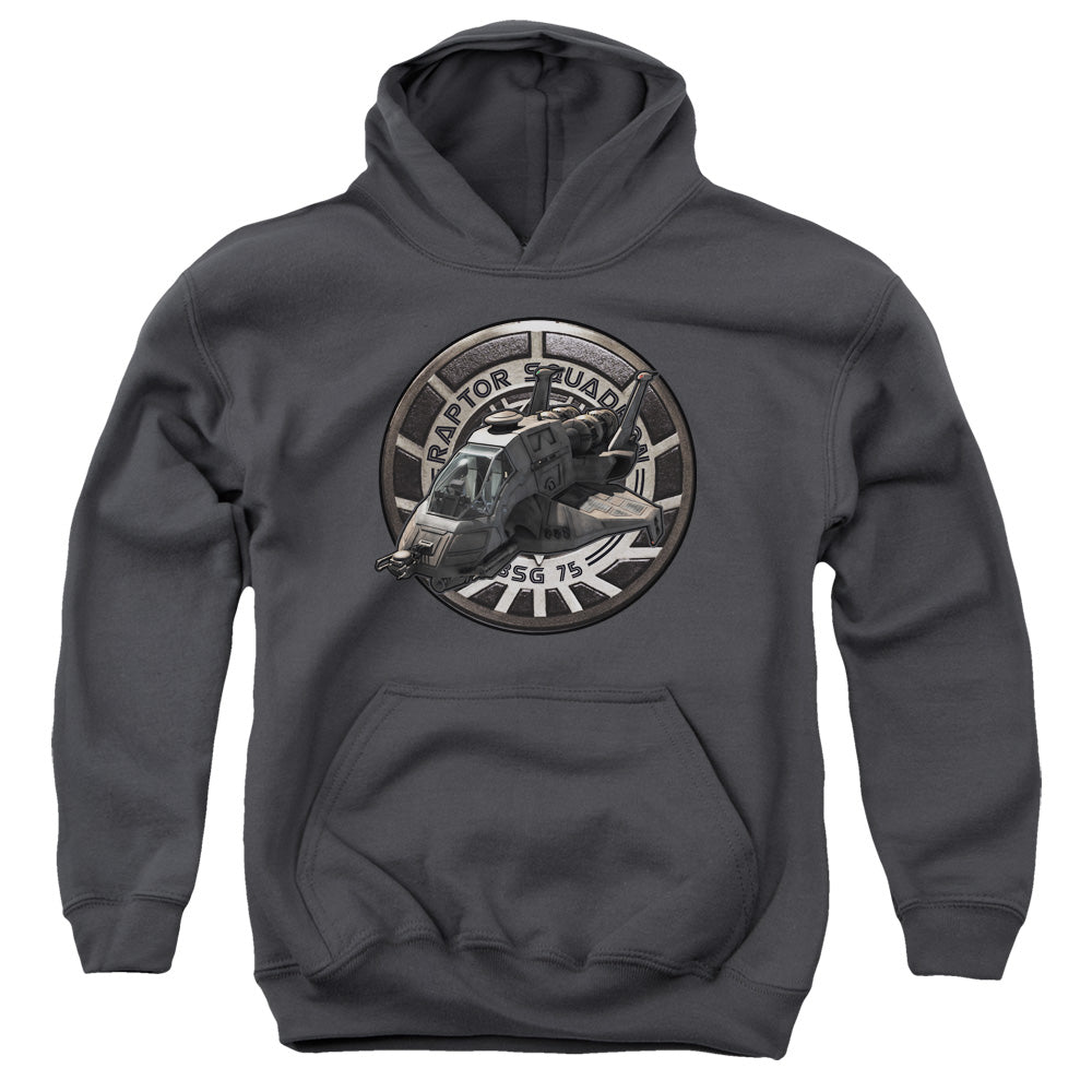 Bsg Raptor Squadron-youth Pull-over Hoodie - Charcoal
