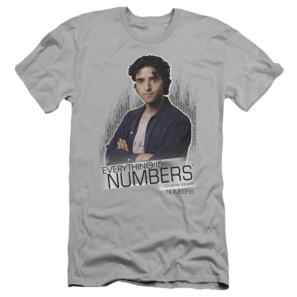 Numbers - Everything Is Numbers - Short Sleeve Adult 30/1 - Silver T-shirt