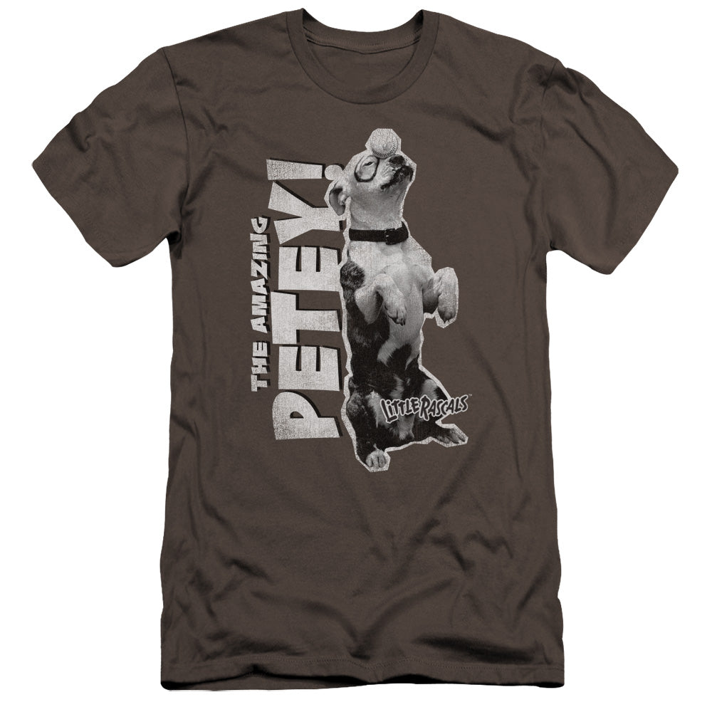 Little Rascals - Amazing Petey-premuim Canvas Adult Slim Fit 30/1 - Charcoal