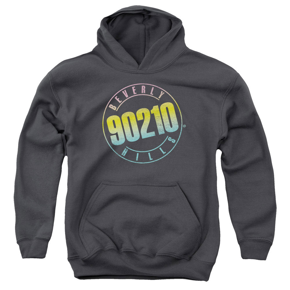 90210 Color Blend Logo-youth Pull-over Hoodie - Charcoal