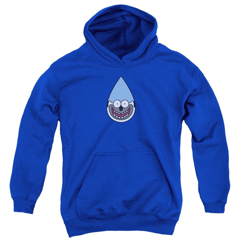 Regular Show - Mordecai - Youth Pull-over Hoodie - Royal Blue
