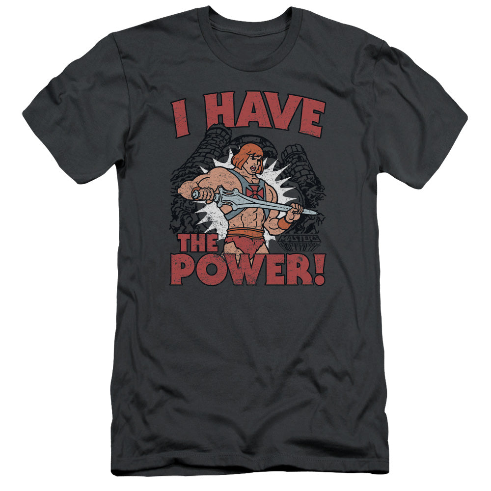 Masters Of The Universe - I Have The Power - Short Sleeve Adult 30/1 - Charcoal T-shirt