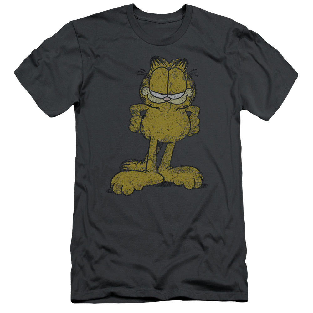 Garfield - Big Ol Cat - Short Sleeve Adult 30/1 - Charcoal T-shirt