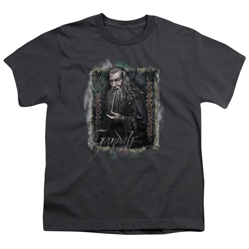 The Hobbit - Gandalf - Short Sleeve Youth 18/1 - Charcoal T-shirt