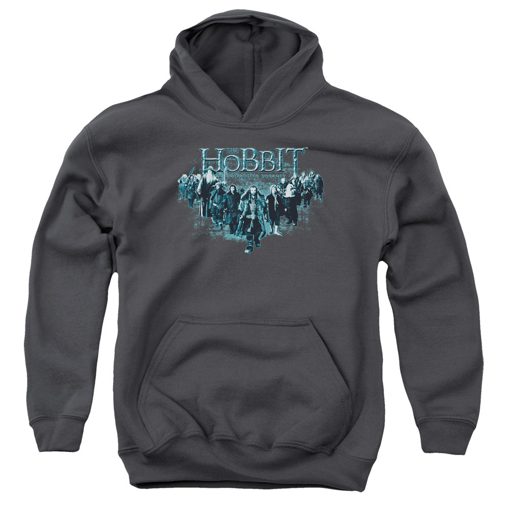 The Hobbit - Thorin And Company - Youth Pull-over Hoodie - Charcoal