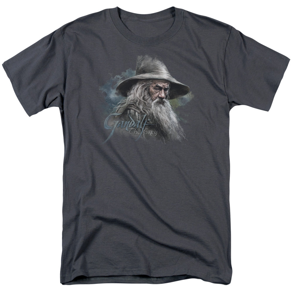 The Hobbit - Gandalf The Grey - Short Sleeve Adult 18/1 - Charcoal T-shirt