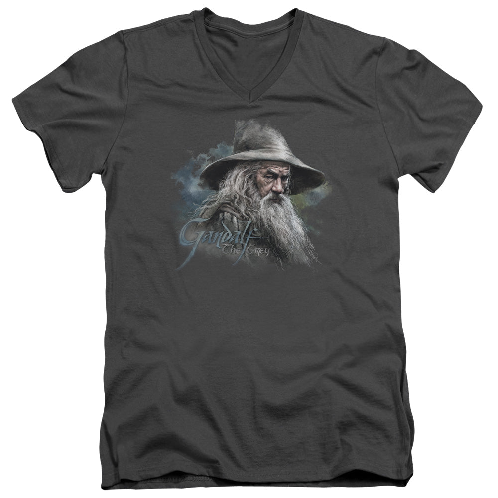 The Hobbit - Gandalf The Grey - Short Sleeve Adult V-neck - Charcoal T-shirt