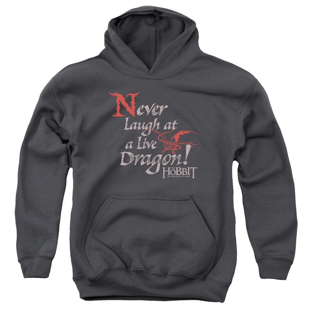 Hobbit - Never Laugh - Youth Pull-over Hoodie - Charcoal