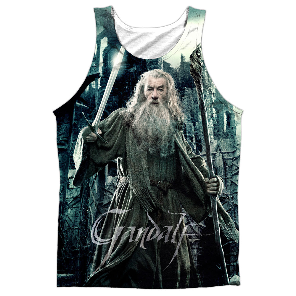 Hobbit Wizard-adult 100% Poly