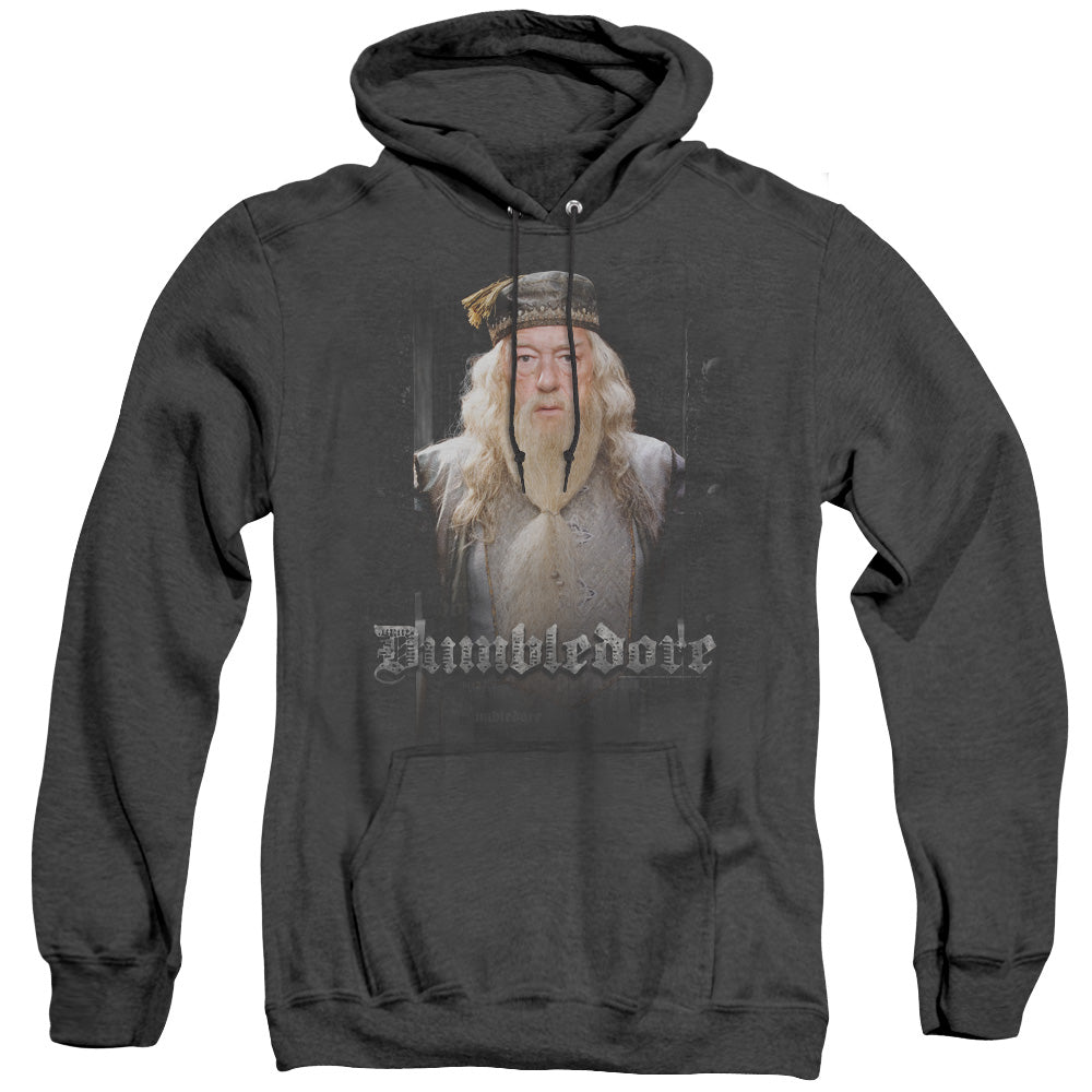 Harry Potter - Dumble Doors - Adult Heather Hoodie - Black