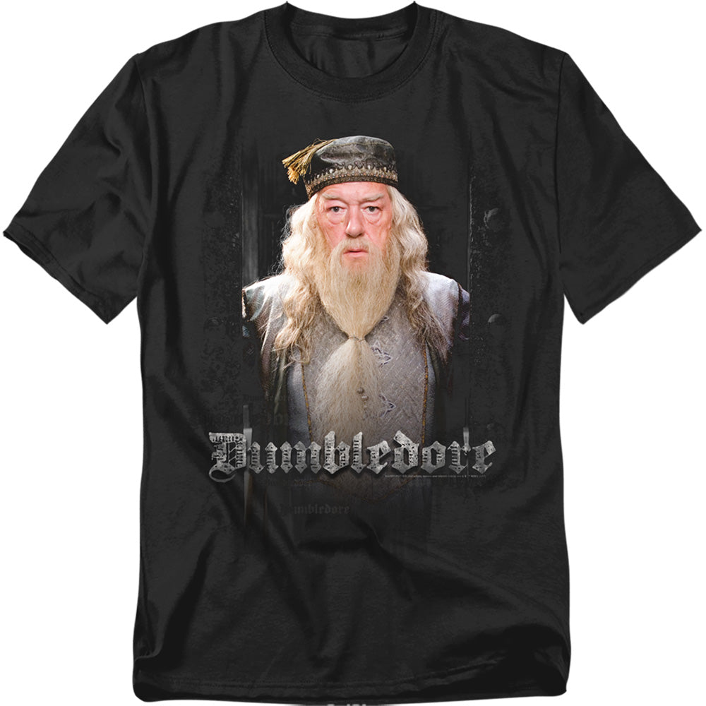 Harry Potter - Dumble Doors - Short Sleeve Adult 18/1 - Black T-shirt