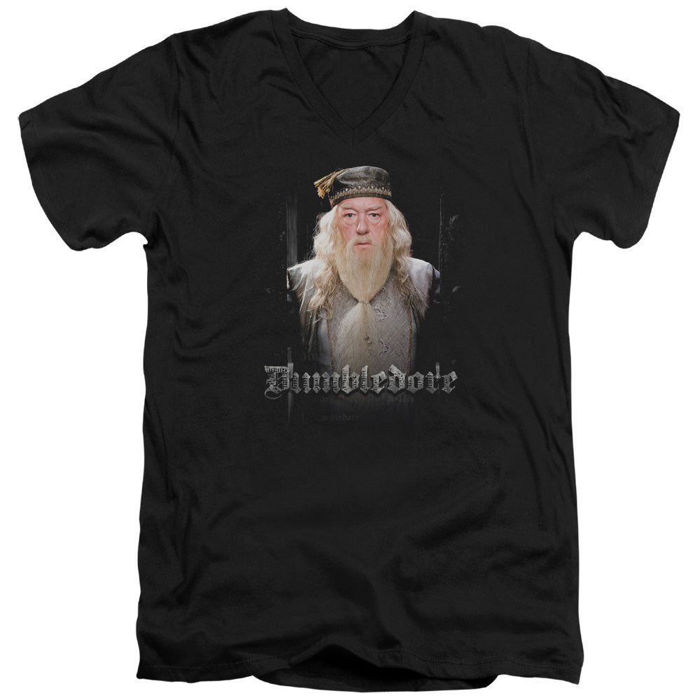 Harry Potter - Dumble Doors - Short Sleeve Adult V-neck 30/1 - Black T-shirt