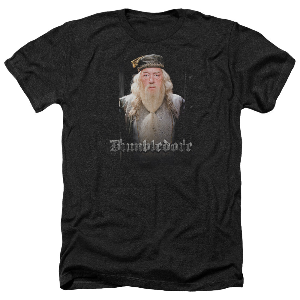 Harry Potter - Dumble Doors - Adult Heather-black