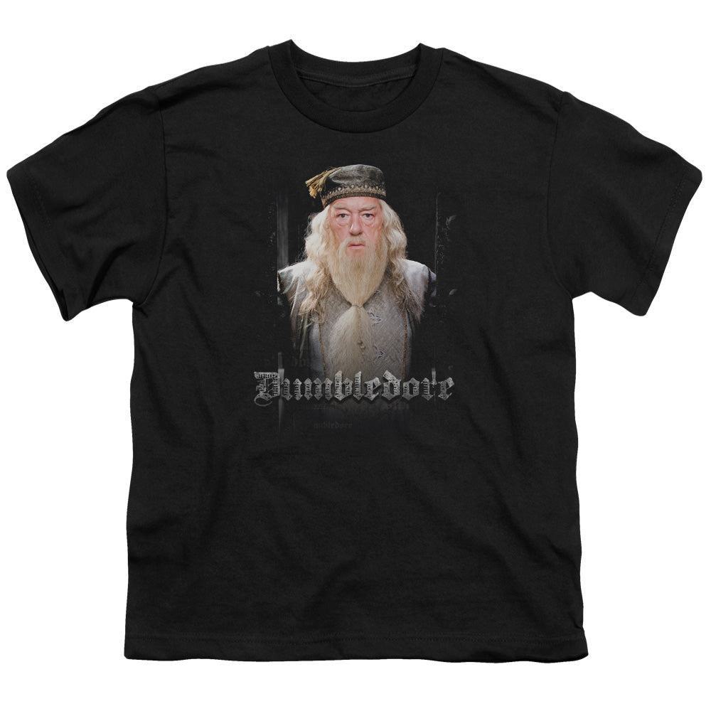 Harry Potter - Dumble Doors - Short Sleeve Youth 18/1 - Black T-shirt