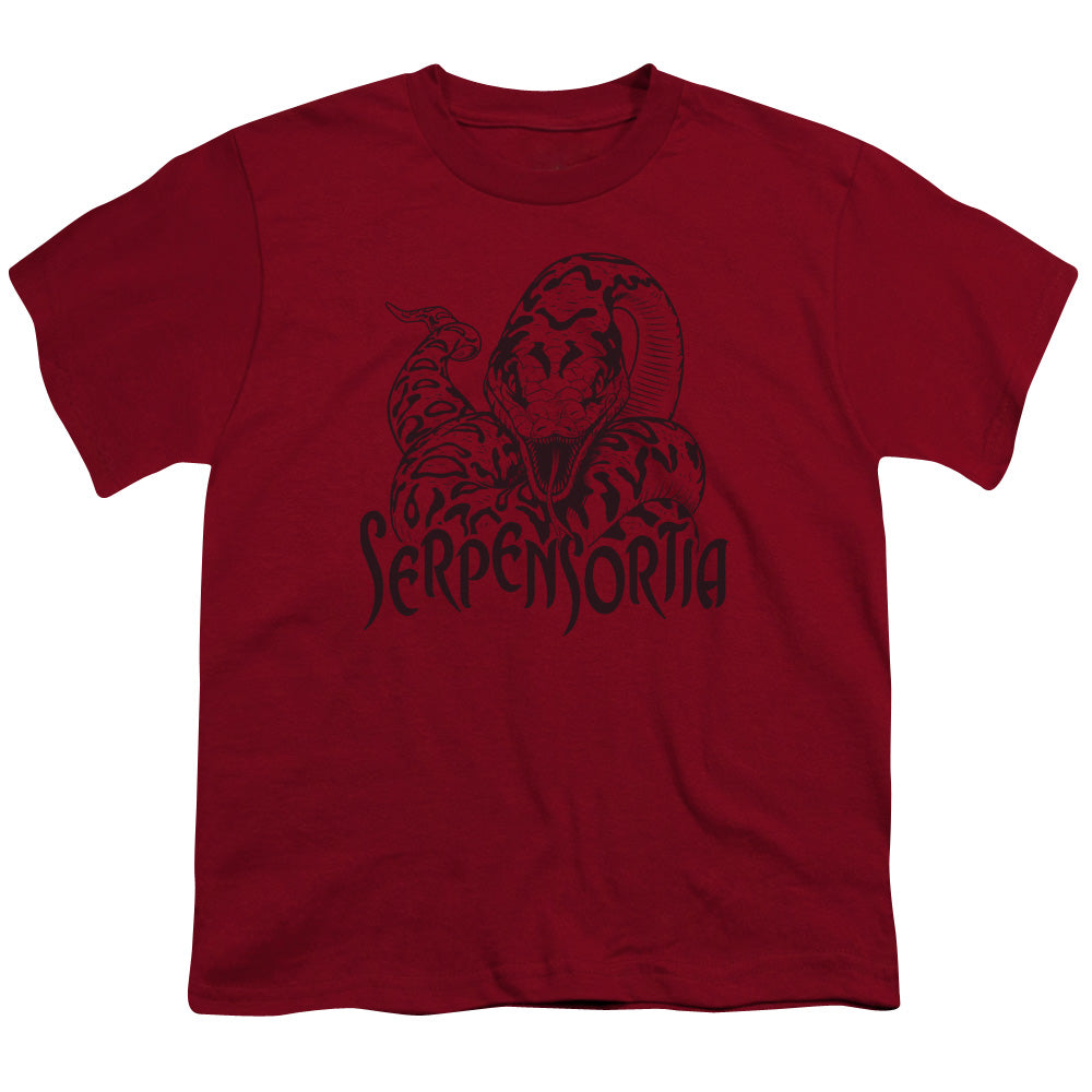 Harry Potter - Serpensortia - Short Sleeve Youth 18/1 - Cardinal T-shirt
