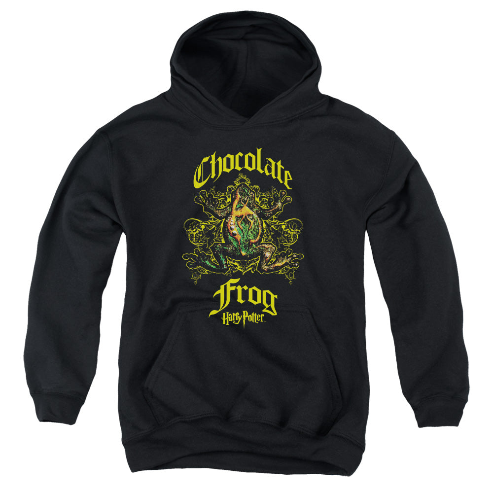 Harry Potter - Chocolate Frog - Youth Pull-over Hoodie - Black