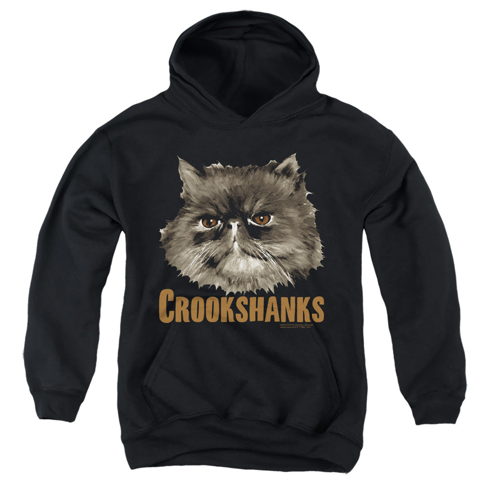 Harry Potter - Crookshanks - Youth Pull-over Hoodie - Black