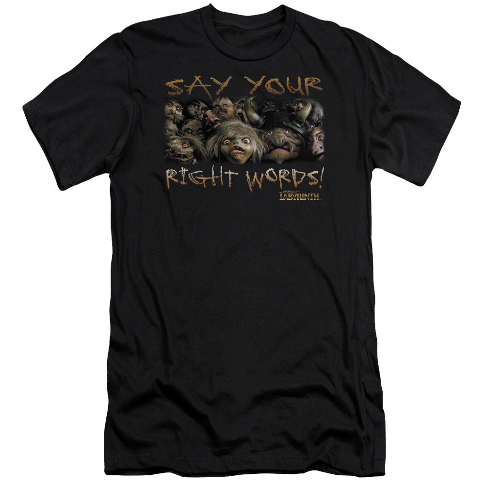 Labyrinth - Say Your Right Words - Short Sleeve Adult 30/1 - Black T-shirt