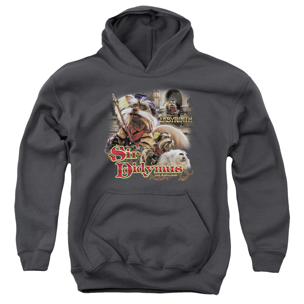 Labyrinth - Sir Didymus - Youth Pull-over Hoodie - Charcoal