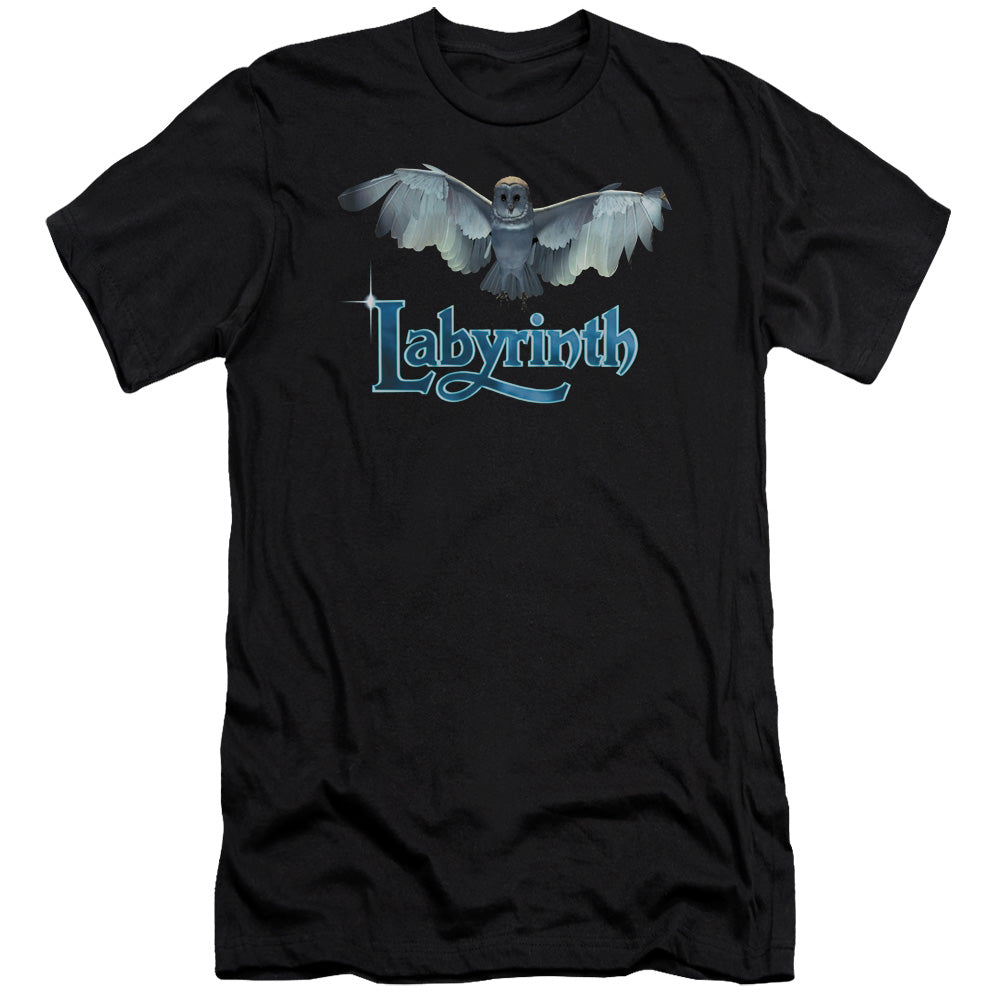 Labyrinth - Title Sequence - Short Sleeve Adult 30/1 - Black T-shirt