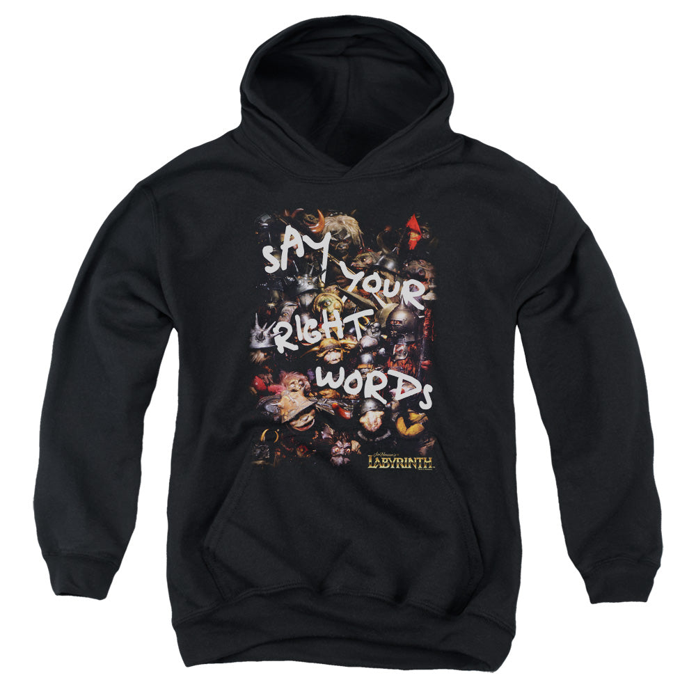 Labyrinth Right Words-youth Pull-over Hoodie - Black