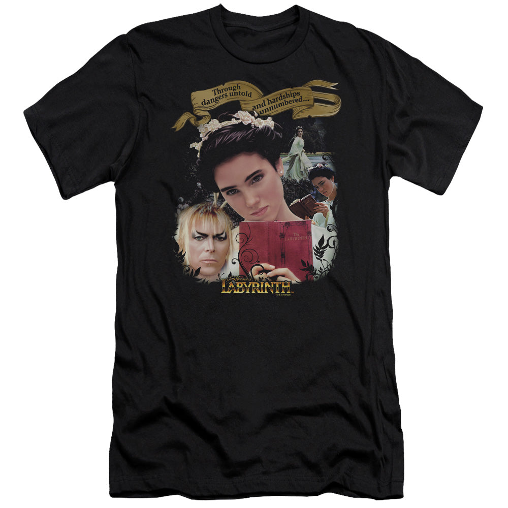 Labyrinth - Dangers Untold - Short Sleeve Adult 30/1 - Black T-shirt