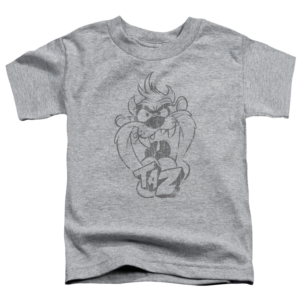Looney Tunes - Faded Taz - Short Sleeve Toddler Tee - Athletic Heather T-shirt