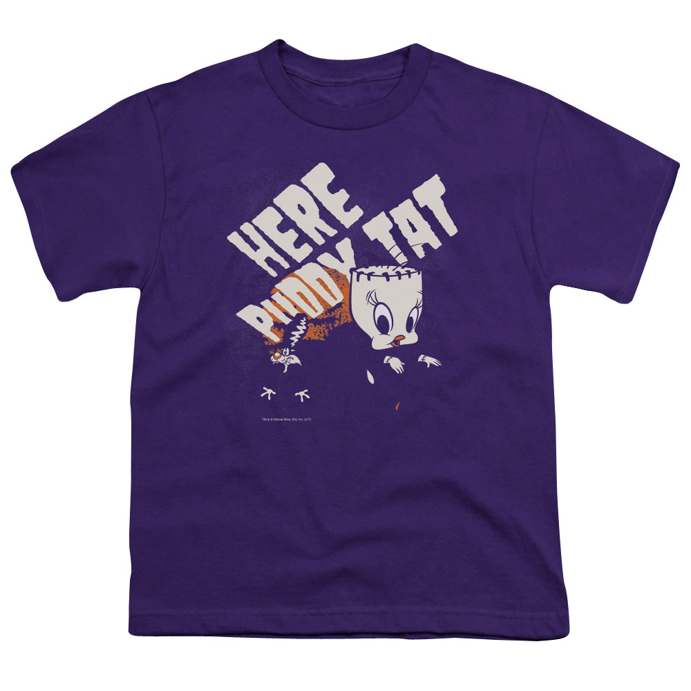 Looney Tunes - Franken Tweety - Short Sleeve Youth 18/1 - Purple T-shirt