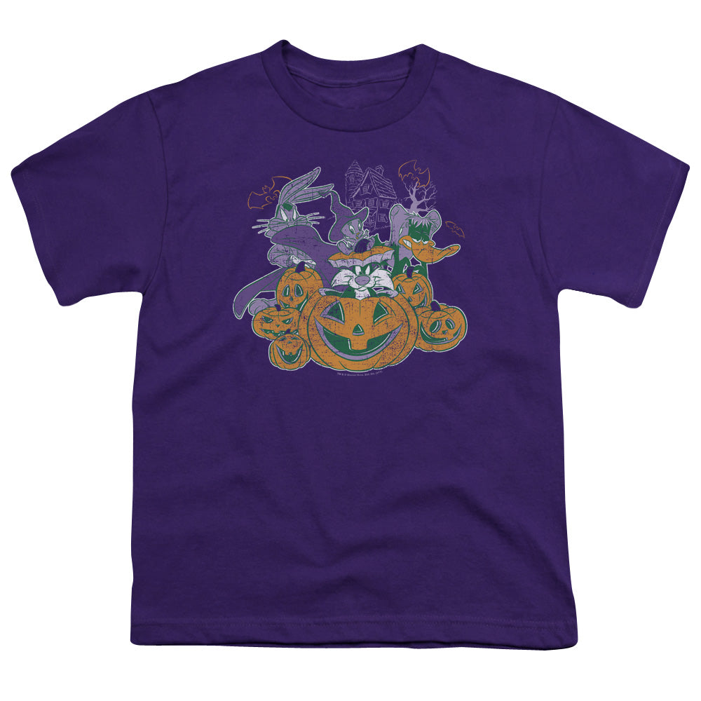 Looney Tuneshort Sleevepooky Pals-s - S Youth 18/1 - Purple T-shirt