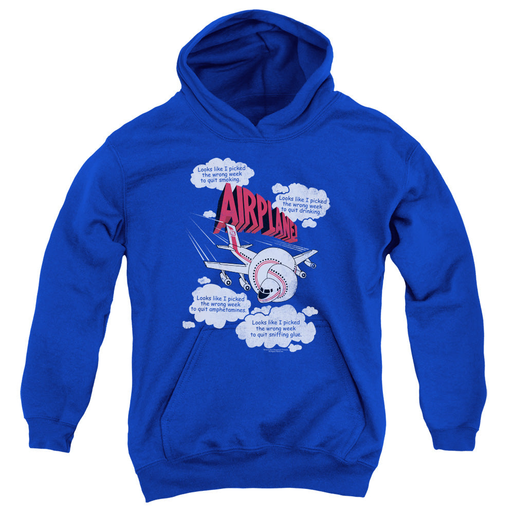 Airplane - Picked The Wrong Day - Youth Pull-over Hoodie - Royal