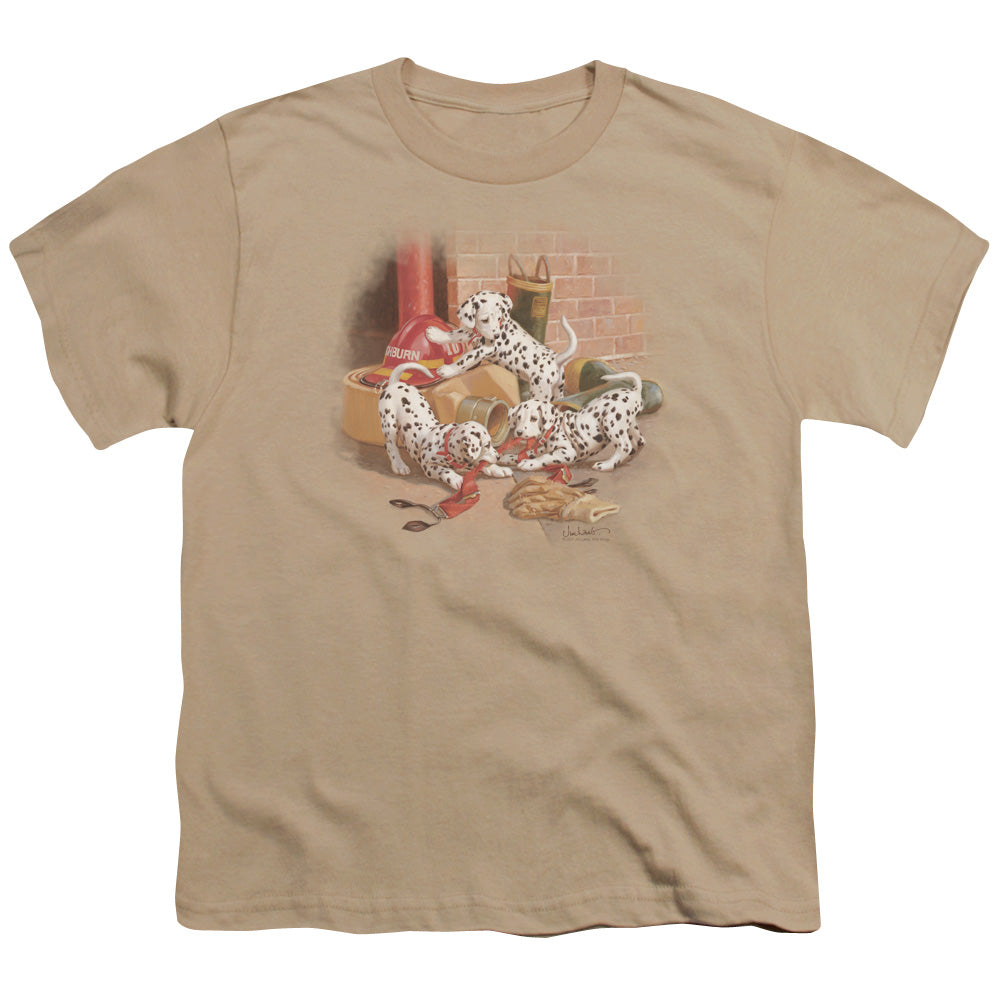 Wildlife - Wheres The Fire? - Short Sleeve Youth 18/1 - Sand T-shirt