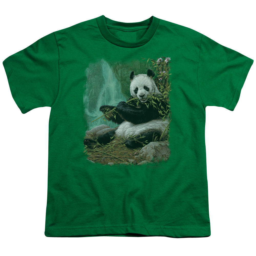 Wildlife - Citizen Of Heaven On Earth - Short Sleeve Youth 18/1 - Kelly Green T-shirt