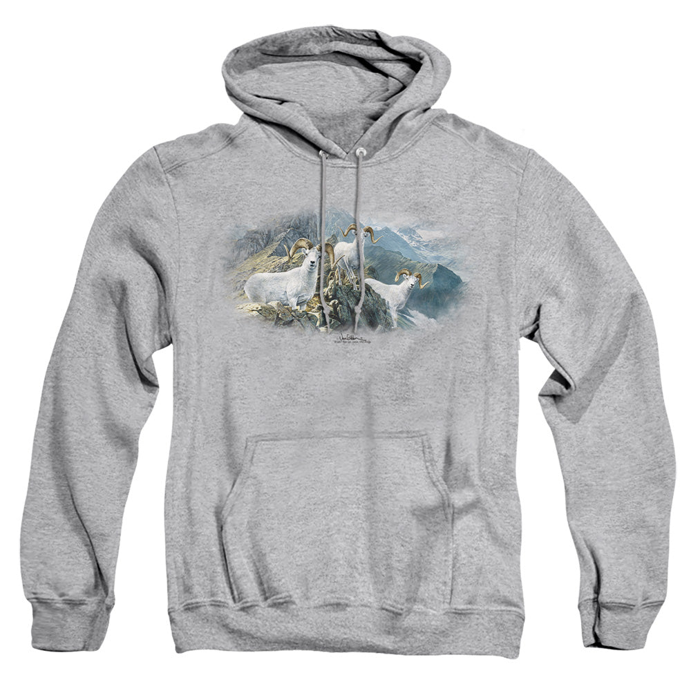 Wildlife - High Trails Dall Sheep - Adult Pull-over Hoodie - Athletic Heather