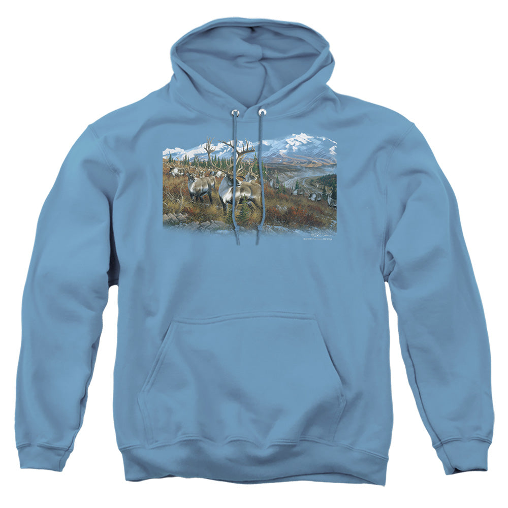 Wildlife Caribou - Adult Pull-over Hoodie - Carolina Blue